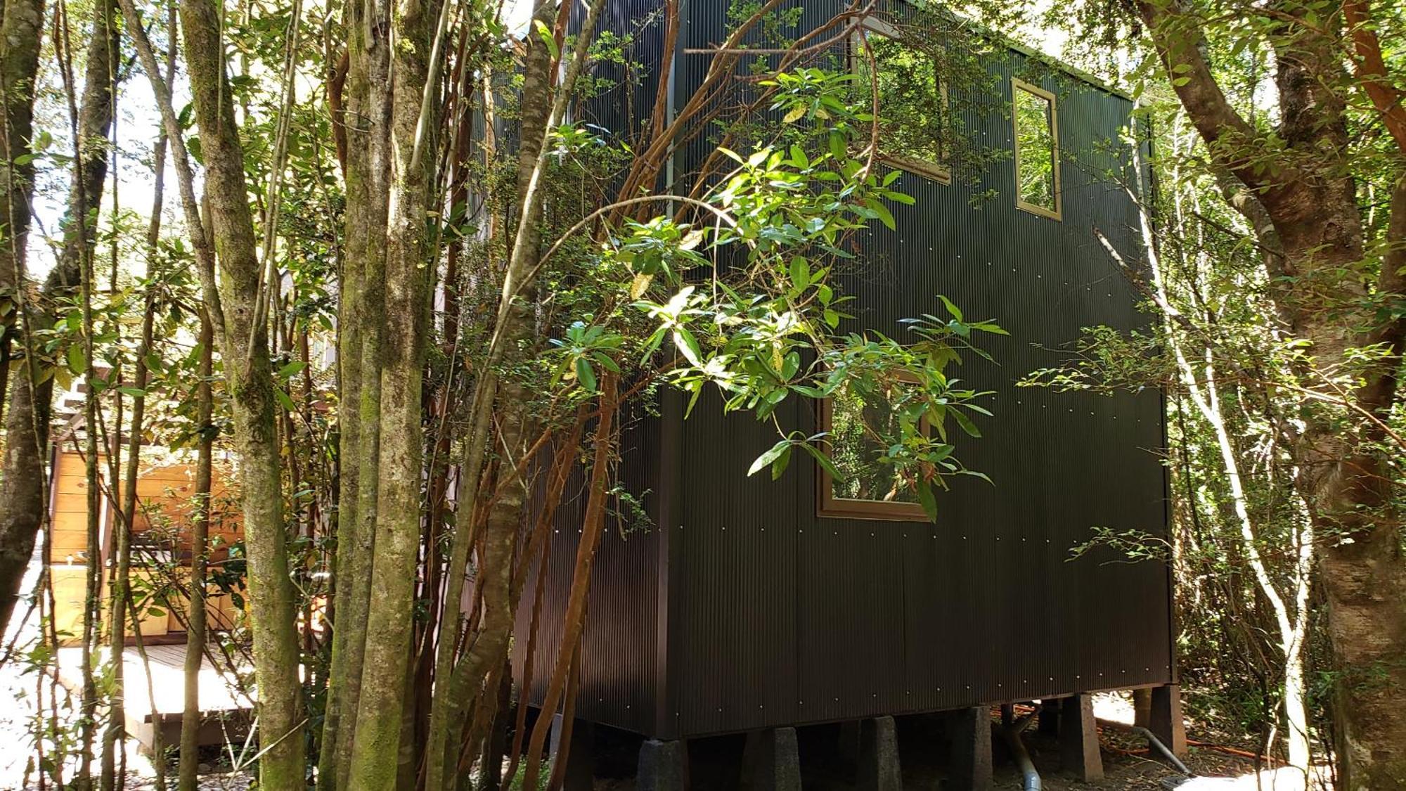 Cabana Refugio Del Bosque بورتو فاراس المظهر الخارجي الصورة