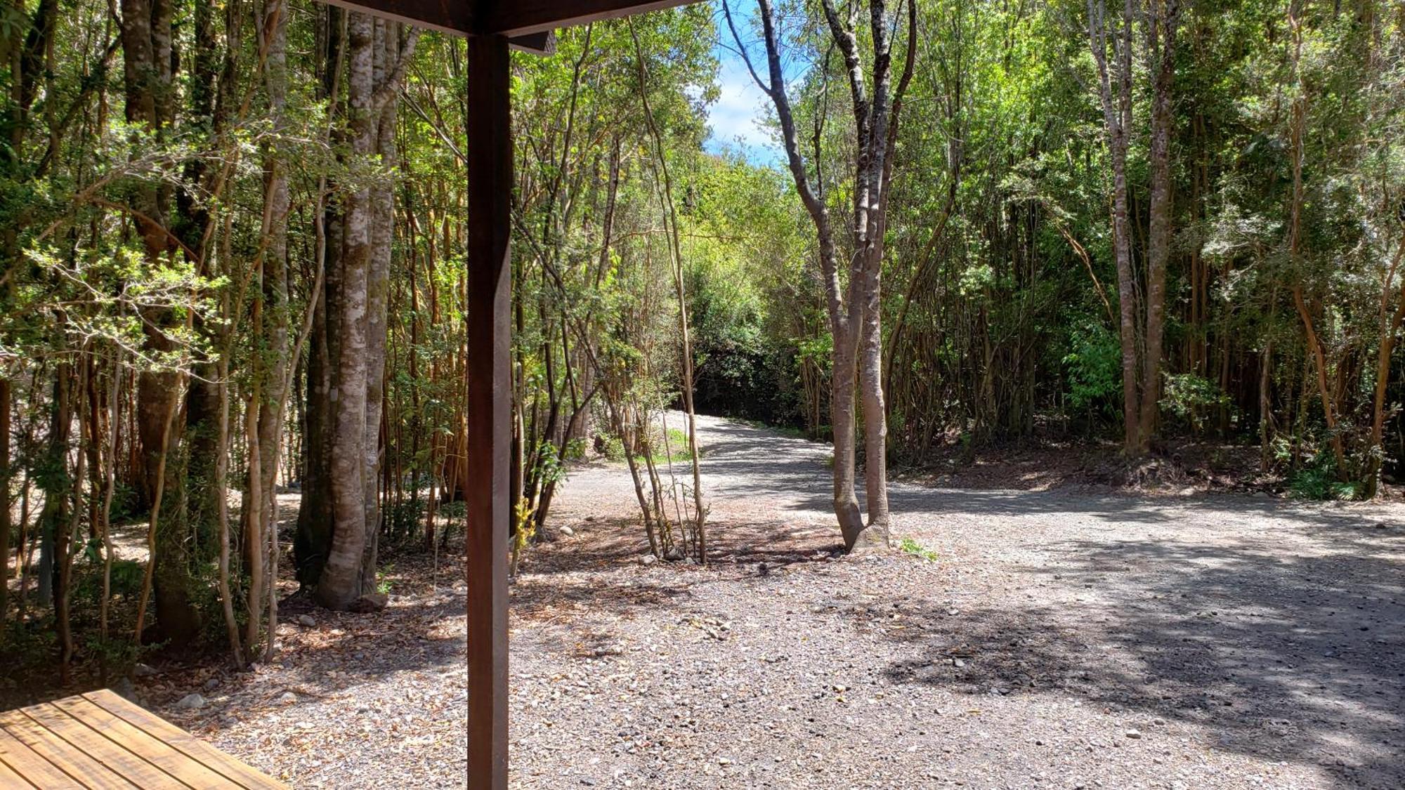 Cabana Refugio Del Bosque بورتو فاراس المظهر الخارجي الصورة