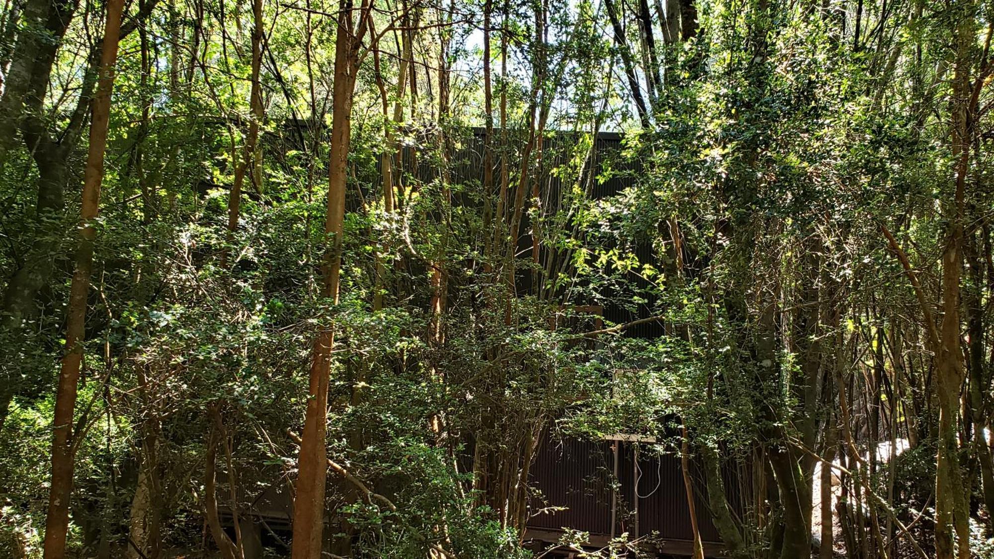 Cabana Refugio Del Bosque بورتو فاراس المظهر الخارجي الصورة